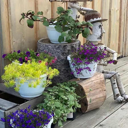 Feriehus Gruszkowka Letniskowy Gronkow