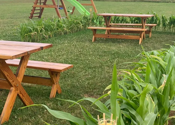 Gruszkowka Letniskowy Gronkow