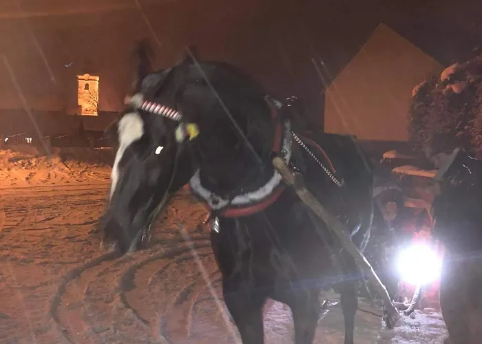 Casa vacanze Gruszkowka Letniskowy *