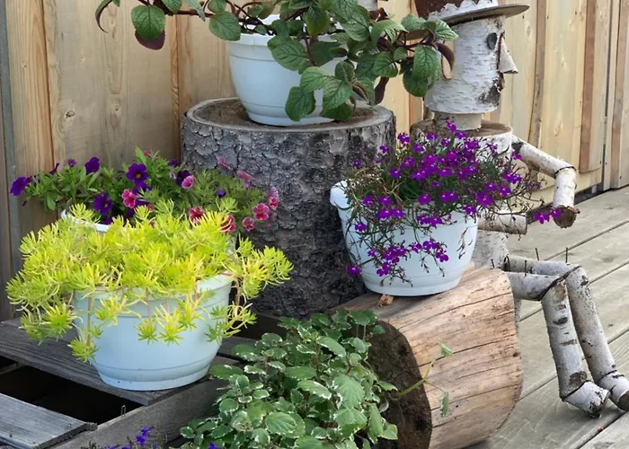 Casa vacanze Gruszkowka Letniskowy Gronkow